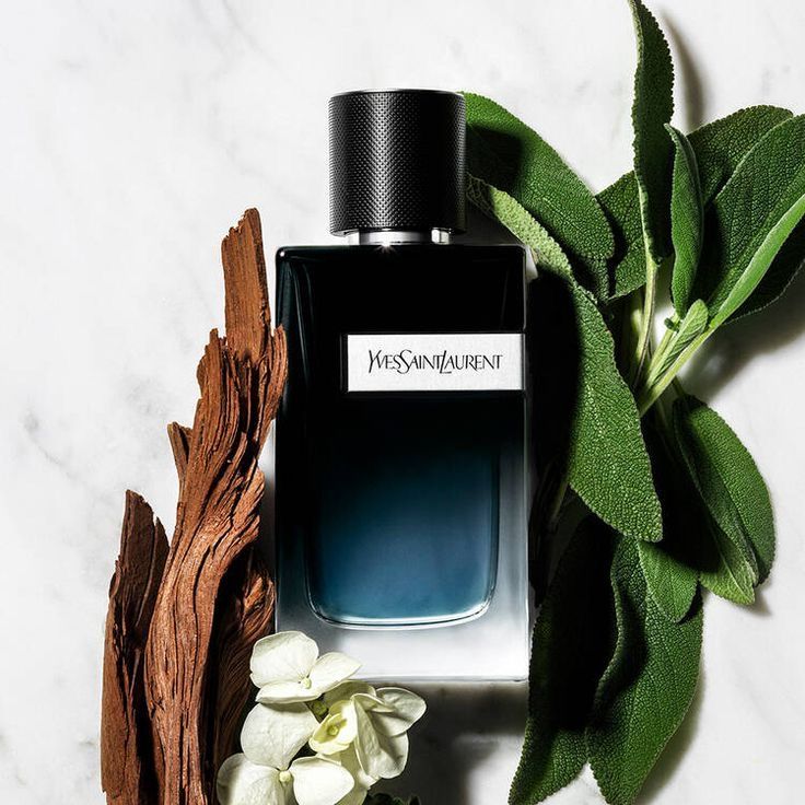 Ysl edp ( male ) 100 ml